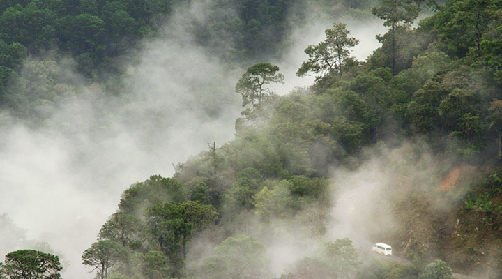 Aguas Termales Chignahiapan