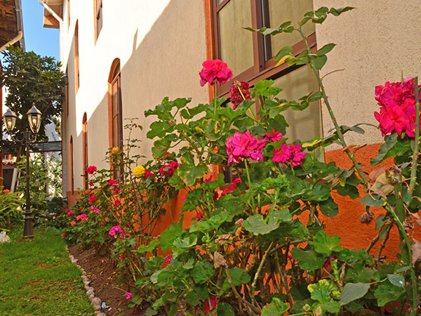 Hotel Hacienda Casagrande